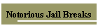 Notorious Jail Breaks