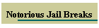 Notorious Jail Breaks